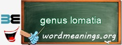 WordMeaning blackboard for genus lomatia
